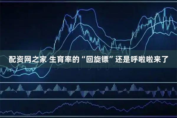 配资网之家 生育率的“回旋镖”还是呼啦啦来了